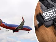 Breaking News: Woman Forced Off Flight For Life-Threatening Dog Allergy