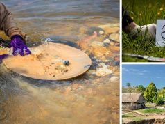 Who’s Killing The Amazon’s Uncontacted Tribes?