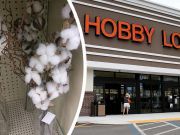 Was This Racist? Hobby Lobby Cotton Decor Post Goes Viral