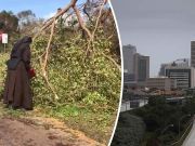 This Nun With A Chainsaw Is Cleaning Up After Irma (And The Internet Loves It)