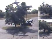 Pilot Crashes Small Plane Into Trees… Narrowly Avoids Death