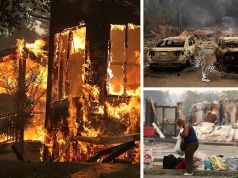 Notre Dame Cathedral Fire + 21 Most Devastating Pictures And Videos From The California Wildfires