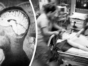 This Is What Happens To Your Brain After You Die