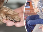 Woman Diagnosed With Broken Heart Syndrome After Her Beloved Dog Dies