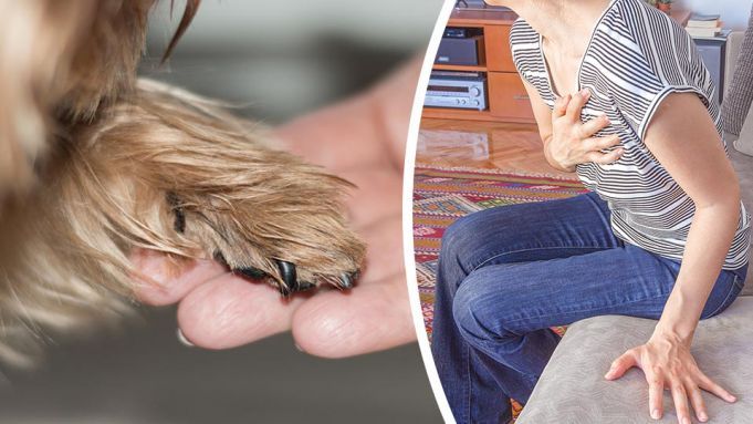 Woman Diagnosed With Broken Heart Syndrome After Her Beloved Dog Dies