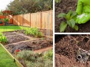 5 Mistakes You’re Making In Your Garden (And How To Fix Them)