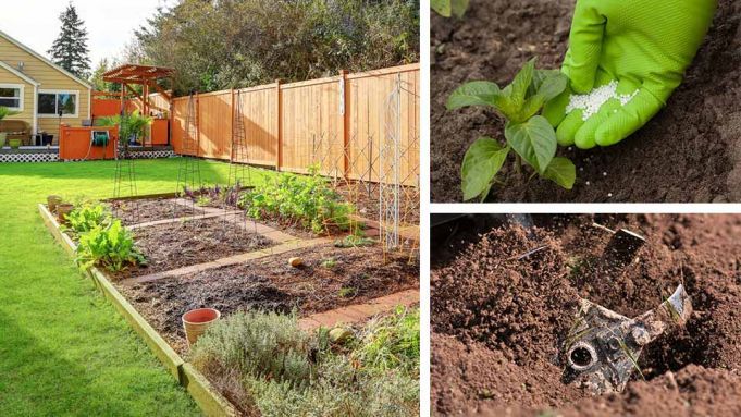 5 Mistakes You’re Making In Your Garden (And How To Fix Them)