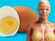 9 Things That Will Happen To Your Body After Eating Two Eggs A Day