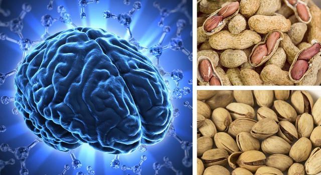 Want To Improve Your Memory? Try A Handful Of These Nuts
