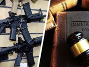 Would You Agree To Tougher Gun Laws If We Also Passed Stronger Immigration Laws?