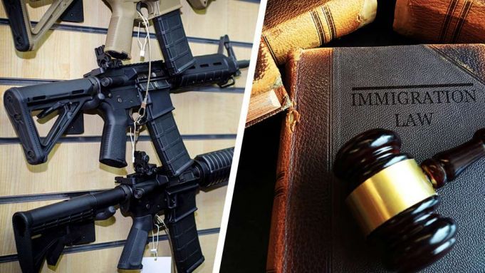 Would You Agree To Tougher Gun Laws If We Also Passed Stronger Immigration Laws?