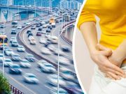 Stuck In Holiday Traffic? Creative Ways To Pee In A Car While Driving