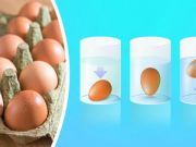 Try These 4 Tests To See If Your Expired Eggs Are Actually Bad