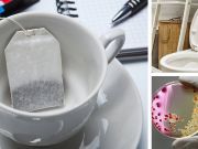 Shocking Report: Office Tea Bags Are 17X Dirtier Than Toilet Seats