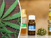 World Health Organization Says DEA Is Wrong About CBD Oil (+ DIY Recipe)