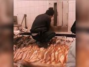 Worker Filmed Walking On Fish (Plus 5 Seafood Problems You Should Avoid)