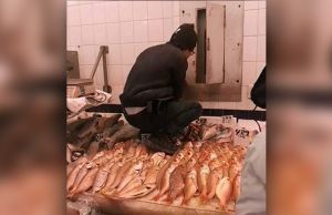 Worker Filmed Walking On Fish (Plus 5 Seafood Problems You Should Avoid)