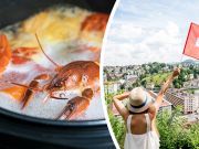 Switzerland Bans Boiling Live Lobsters, But Can They Feel Pain?