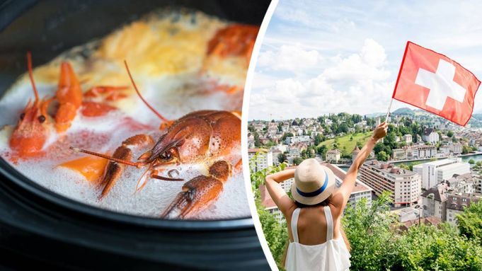 Switzerland Bans Boiling Live Lobsters, But Can They Feel Pain?