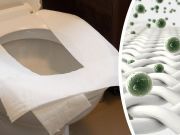 Stop Putting Toilet Paper On The Seat And Do This Instead
