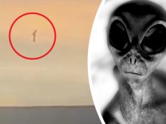 This Alien Video Is Captivating The Internet, But Is It Real?