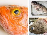 5 Cheap Fish To Avoid At The Market (And 4 To Eat Instead)
