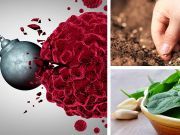 Plant These 6 Seeds In Case Of An Economic Meltdown