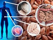 7 Amazing Things That Happen When You Eat Flaxseed Every Day
