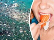 Pacific Garbage Patch Has Grown 16X — Here’s What It Means For Seafood Eaters