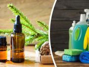 5 Best Essential Oils For Cleaning Your House (And How To Use Them)
