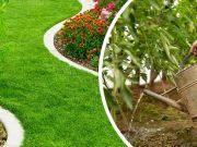 6 Amazing Benefits Of Peeing In Your Yard