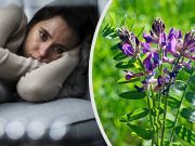 5 Trending Adaptogenic Herbs To Reduce Anxiety And Depression
