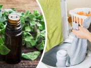 8 Ways To Clean With Oregano Oil