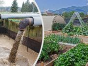 Is Your Food Grown In Sewage Sludge? Here’s How To Avoid It