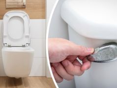 Why I Stopped Flushing My Toilet (And So Should You)