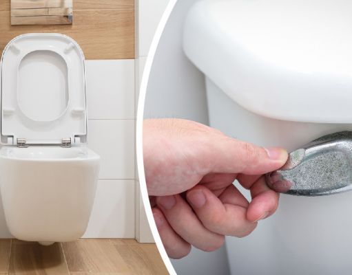 Why I Stopped Flushing My Toilet (And So Should You)