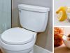 14 Ways To Fix Your Poop Schedule