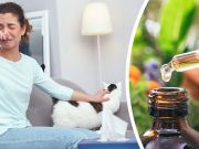 Suffering From Pet Allergies? Find Relief With These 7 Remedies