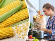 New Study: Processed Corn Loses Its Cancer-Fighting Properties