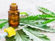 The Cannabis Remedy: Simple Solution For Over 40 Million People Suffering With Anxiety
