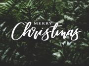 Merry Christmas from The Alternative Daily