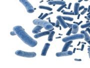 This Deadly Bacteria Lives on Your Skin (why you should care)