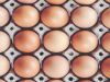 2018 Food Recall Review and 2019 Roundup: What You Need to Know