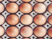 2018 Food Recall Review and 2019 Roundup: What You Need to Know