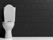 7 Really Strange Things People Have Found in a Toilet