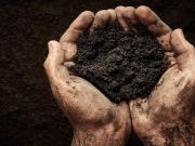 What Researchers Found in Dirt Could Bust Stress