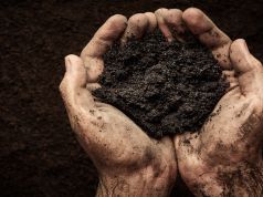 What Researchers Found in Dirt Could Bust Stress