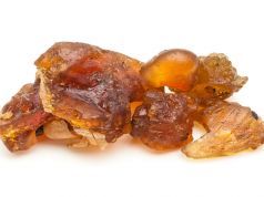 What is Guggul and Why You Need to Eat It