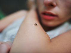 Why You Might Be A Mosquito Magnet