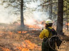 It’s Fire Season: Don’t Be Caught Off Guard and How to Stay Safe